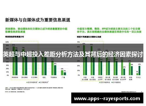 英超与中超投入差距分析方法及其背后的经济因素探讨 英超与中超投入差距分析方法及其背后的经济因素探讨