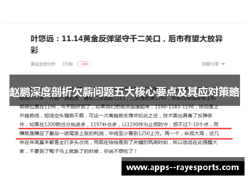 赵鹏深度剖析欠薪问题五大核心要点及其应对策略 赵鹏深度剖析欠薪问题五大核心要点及其应对策略