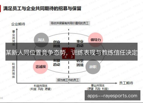 某新人同位置竞争态势，训练表现与教练信任决定